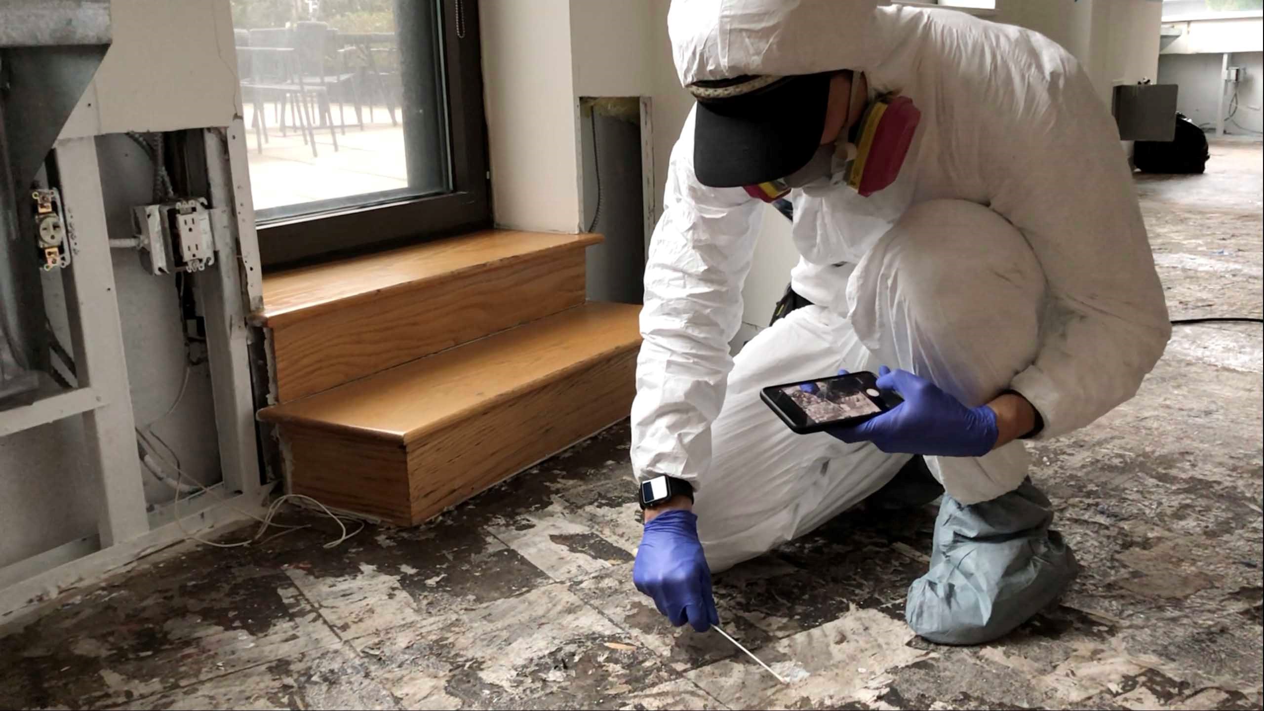 Mold removal