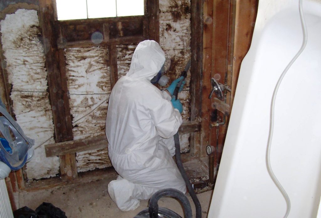 Mold removal