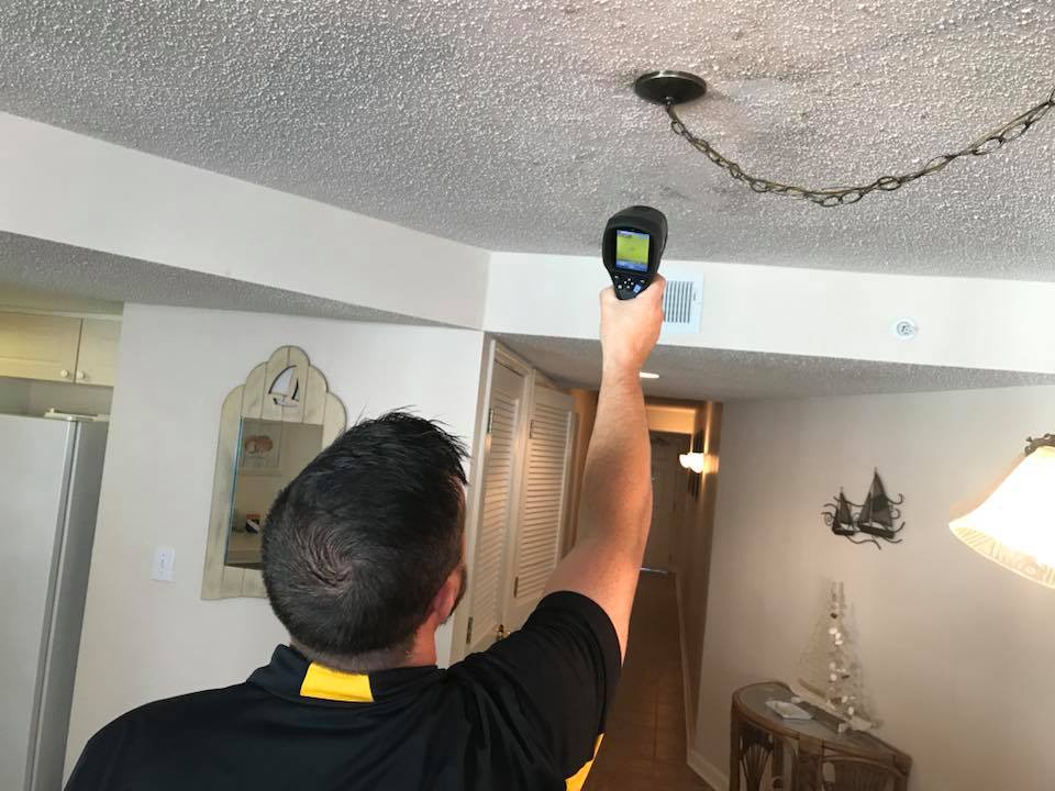 Mold removal